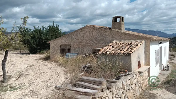 Spot image
