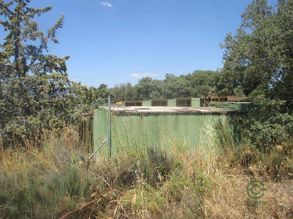Spot image