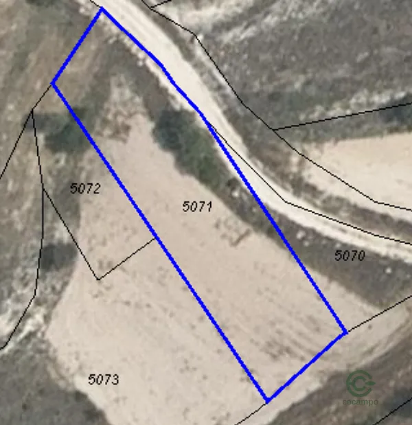 Spot image