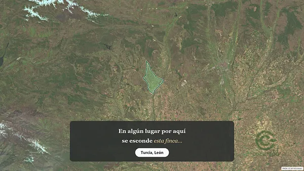 Spot image