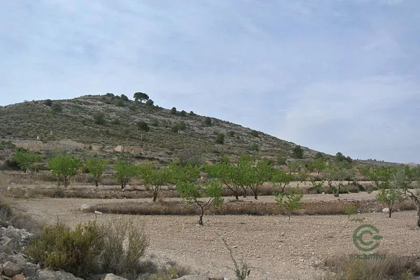Spot image