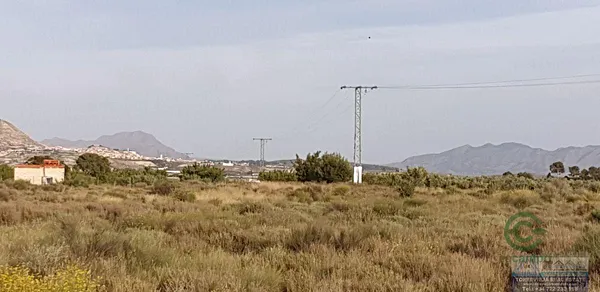 Spot image