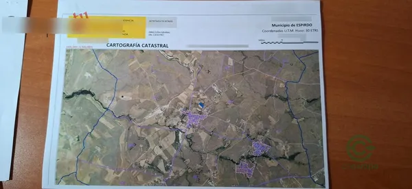 Spot image