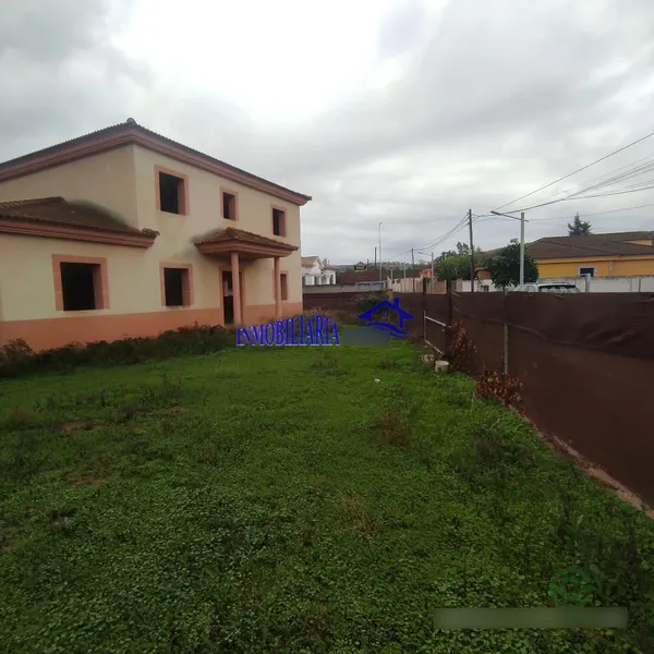 Spot image