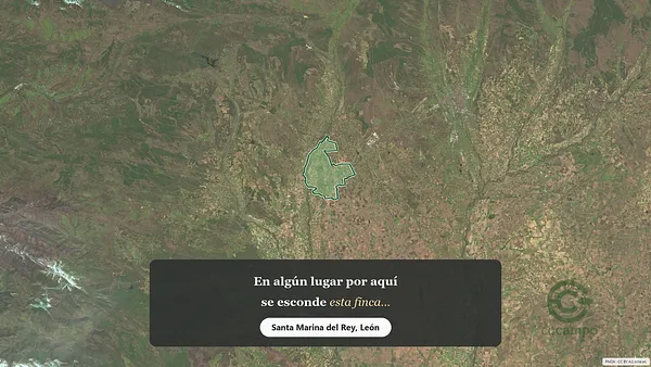 Spot image