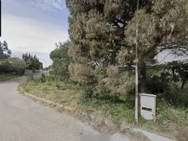 Spot image