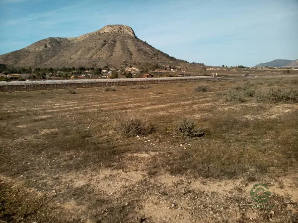 Spot image