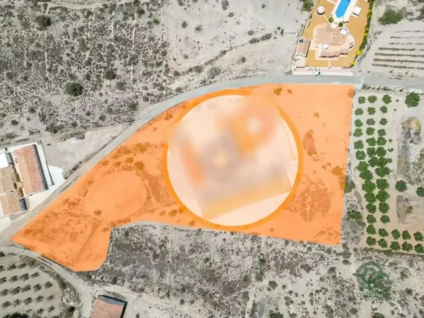 Spot image