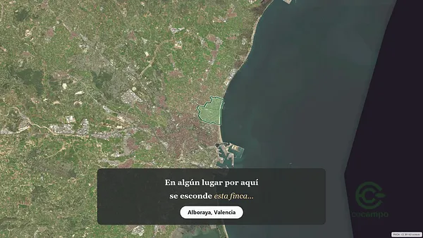 Spot image