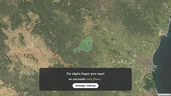 Spot image