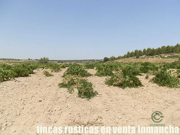 Finca agrícola de 70 ha en venta en Cuenca