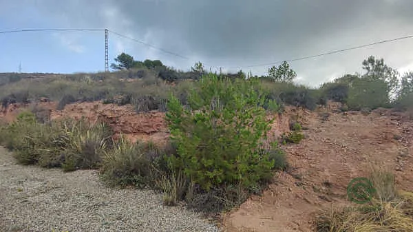 Finca rústica de 0,1 ha en venta en Aledo, Murcia