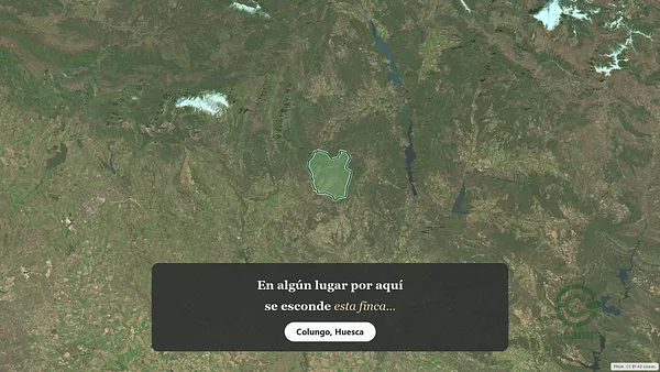 Spot image