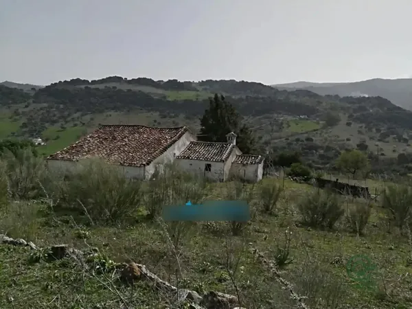 Spot image