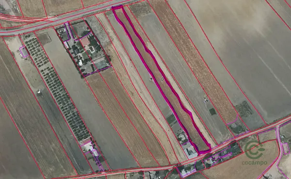 Spot image