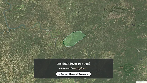 Spot image