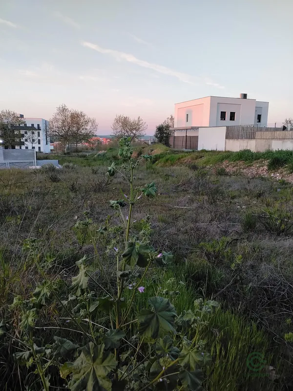 Terreno urbano de 0,0206 ha en venta en Mérida, Badajoz