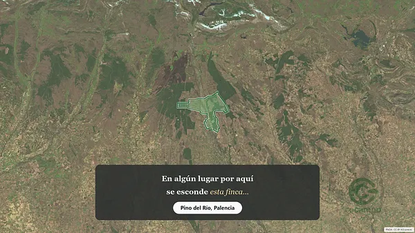 Spot image