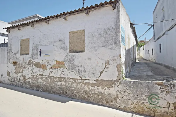 Spot image
