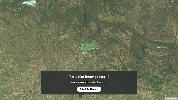 Spot image