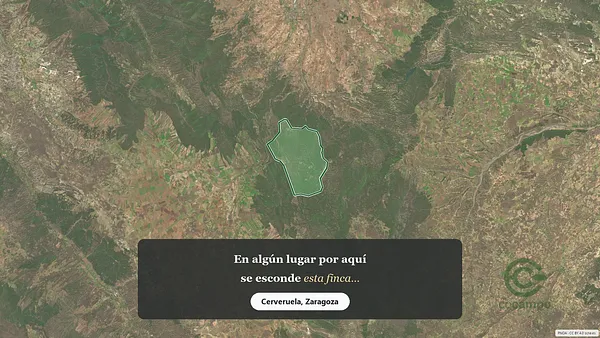 Spot image