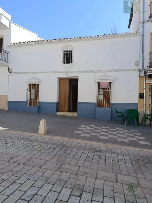 Spot image
