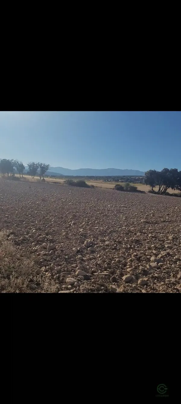 Spot image