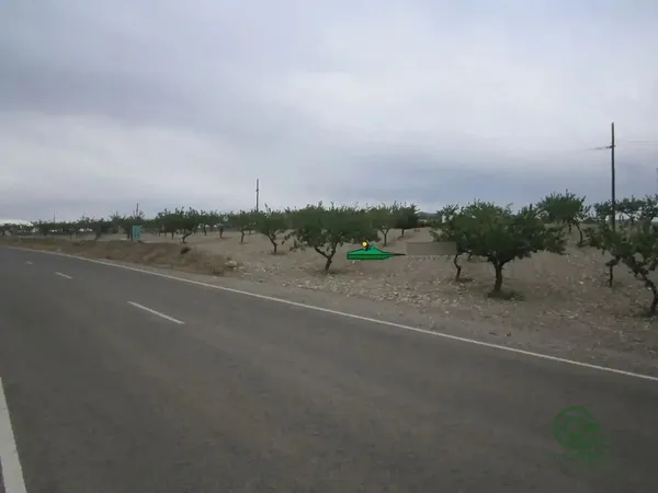 Spot image