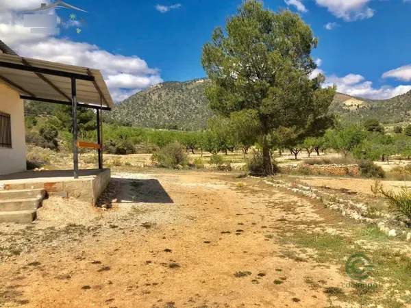 Finca rústica de 4 ha en venta en Monovar - monover, Alicante