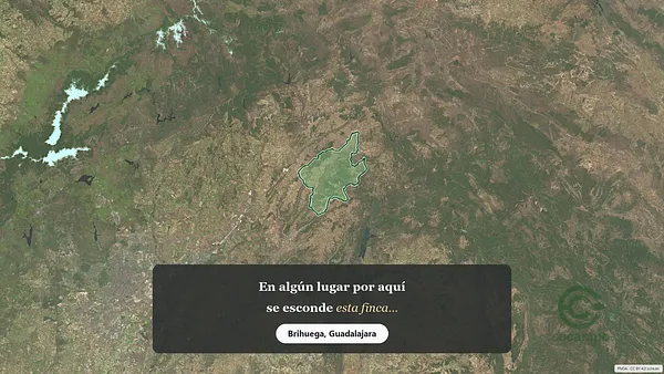 Spot image
