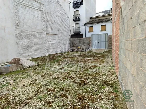 Spot image