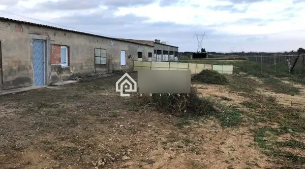 Spot image