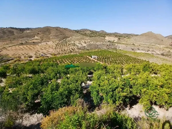 Finca agrícola de 5 ha en venta en Lubrin, Almeria