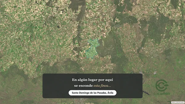 Spot image