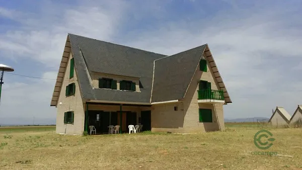 Spot image