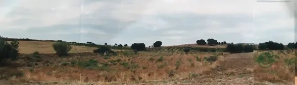 Finca rústica de 0,55 ha en venta en Madrid