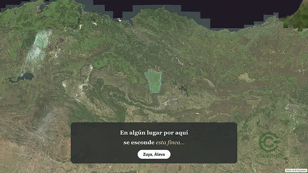 Spot image