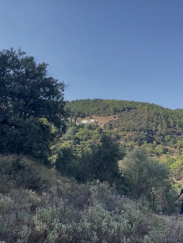 Finca rústica de 4,8 ha en venta en Jaén
