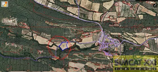 Spot image