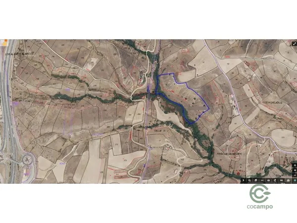 Spot image