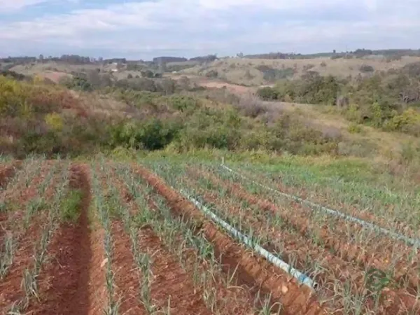 Fazenda agrícola de 12,1 ha para venda em São paulo