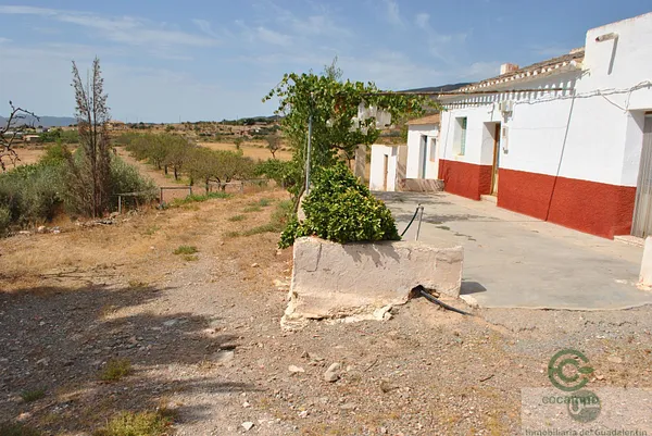 Spot image