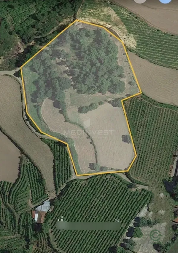 Spot image