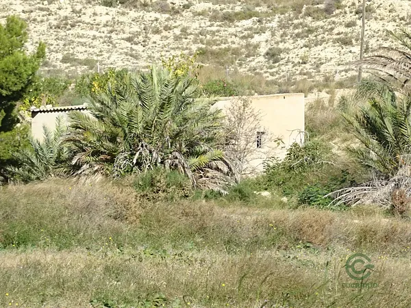 Spot image