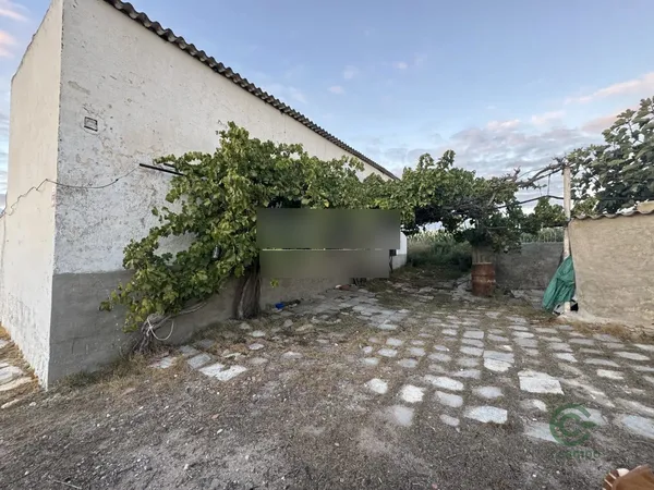 Spot image