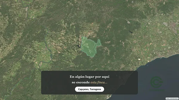 Spot image