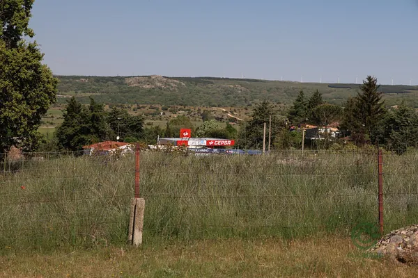 Spot image