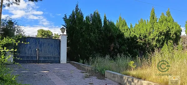 Spot image