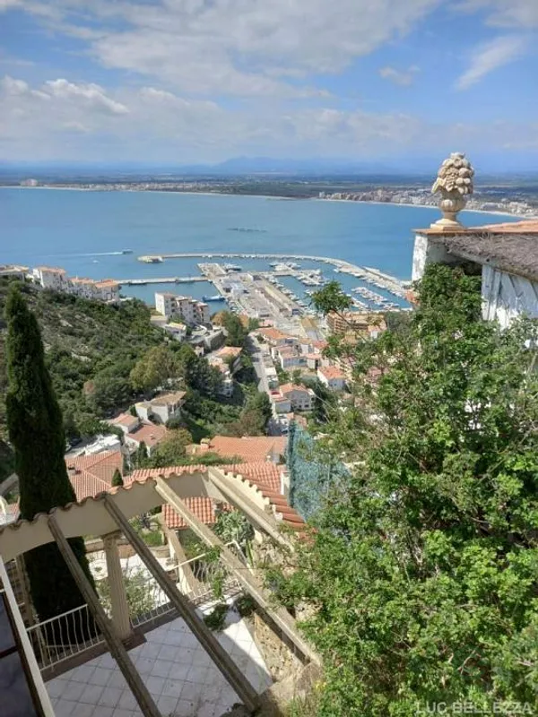 Spot image