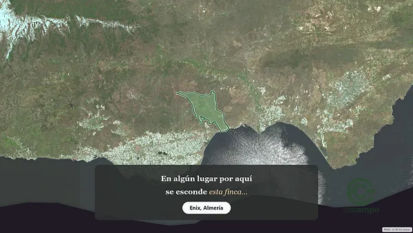 Spot image